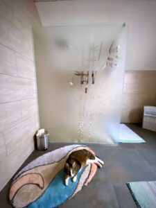 Parois de douche avec décor sablé de bambou